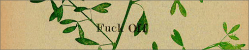 Fuck Off