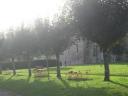 Priest les Fougeres