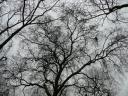 n21574_33946658_6758.jpg